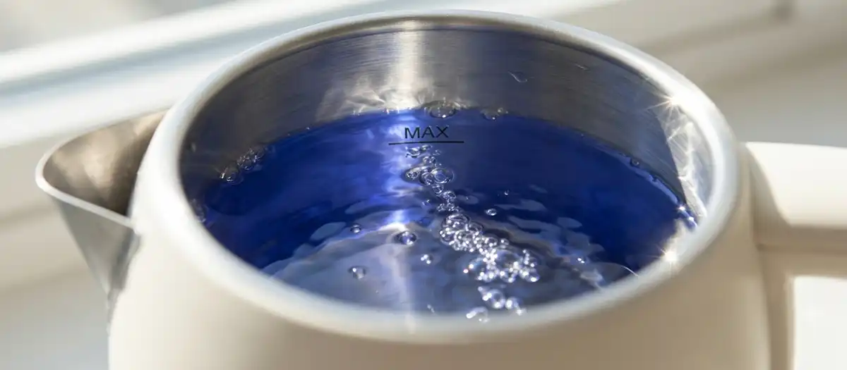 Water filled past the max fill line inside an electric kettle